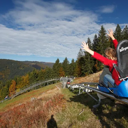 Fewo 14 - Residenz Schauinsland, Bei Feldberg Daire